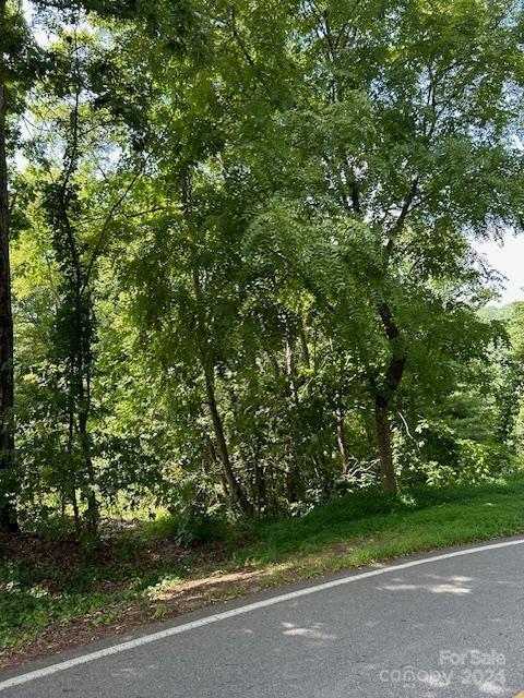 46 Elk Mountain Ridge