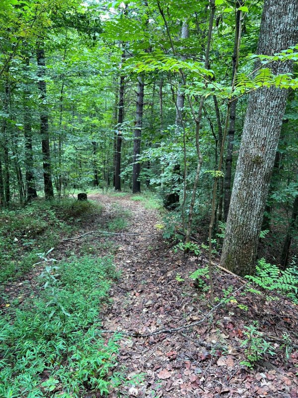 645 Tunnel Road 157 & 158