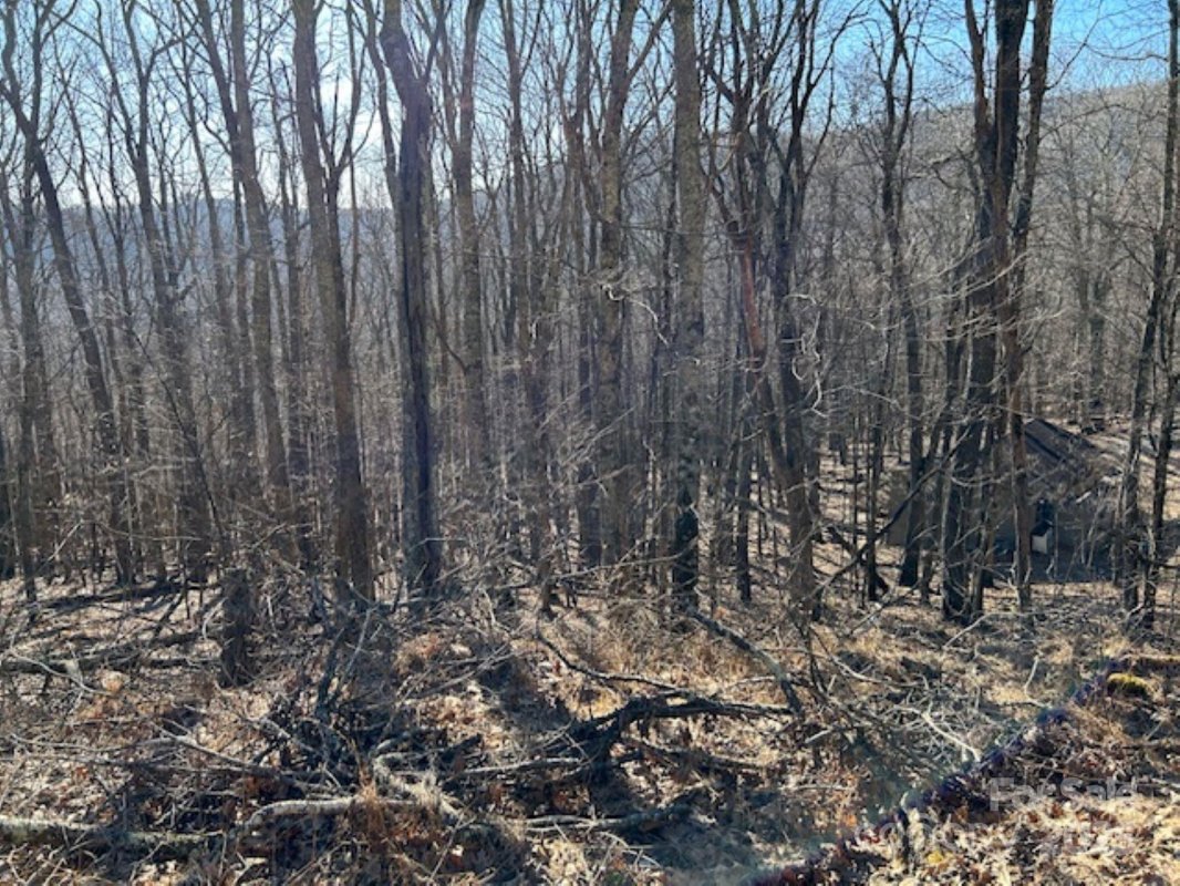 337 Hamlin Lane 96