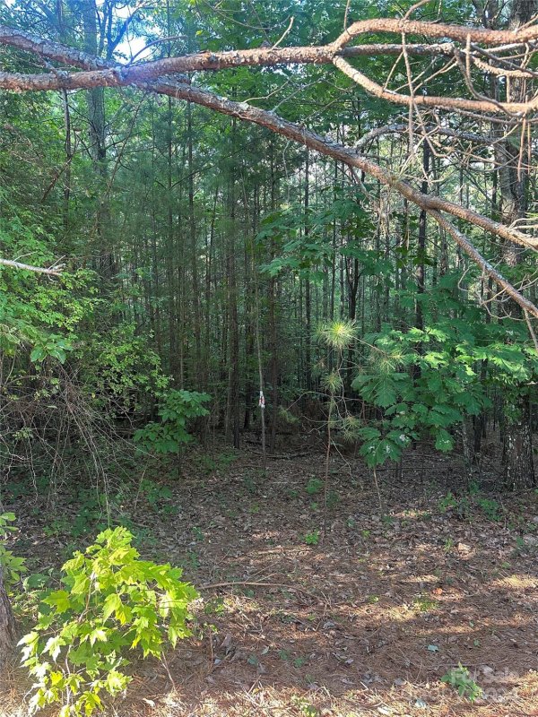 Tbd Hidden Lake Parkway 50