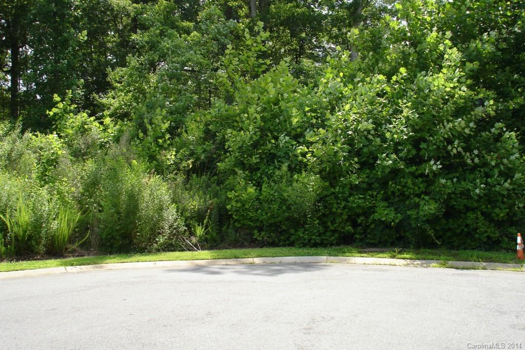 1023 Dacavin Drive 29