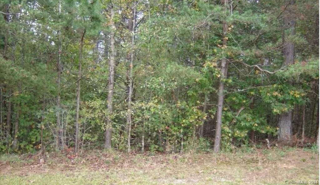 2660 Canvasback Lane Lot 9