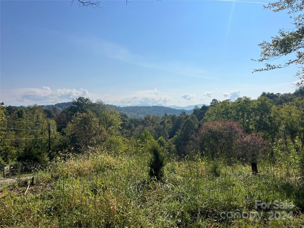 Tbd Firefly Ridge 9