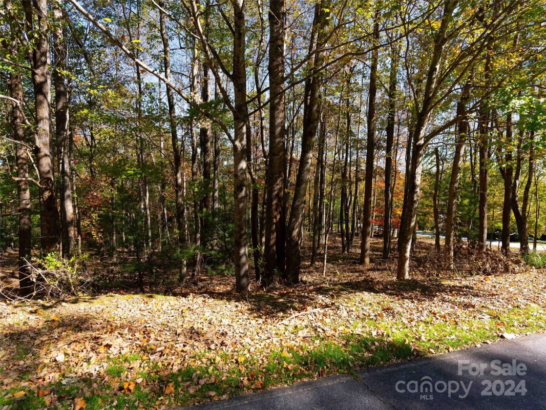 308 Piney Knoll Lane