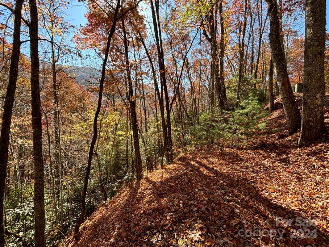 Lot 33 Coppermine Ridge