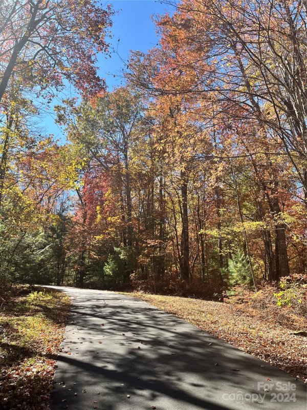 L011 Frazier Road C11