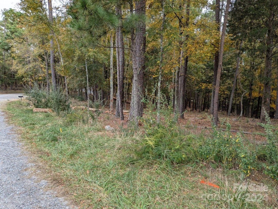3 447 Acres Spratt Road