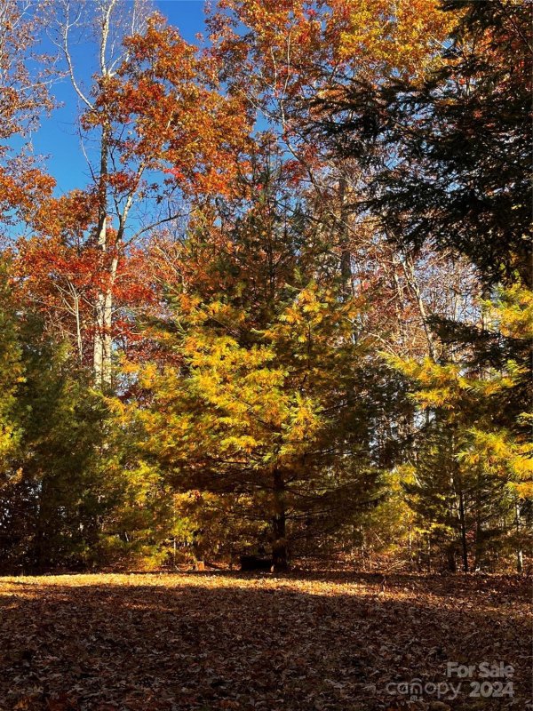 24 Black Oak Court
