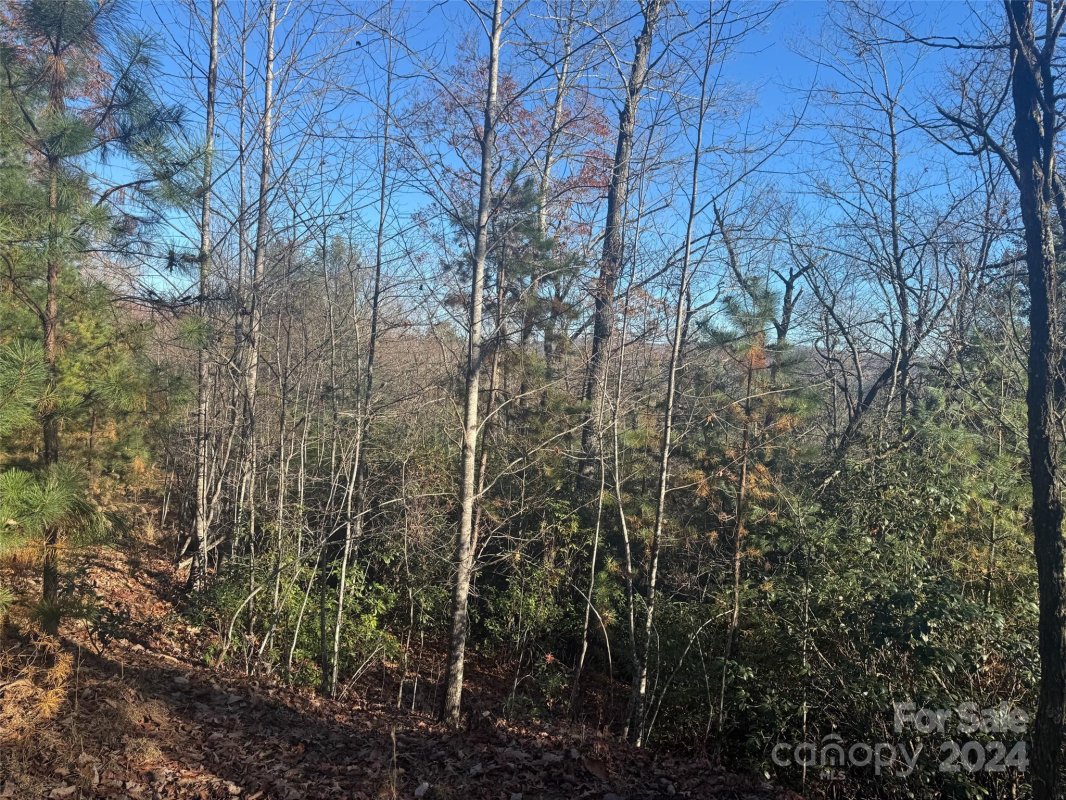 14 Spring House Trail