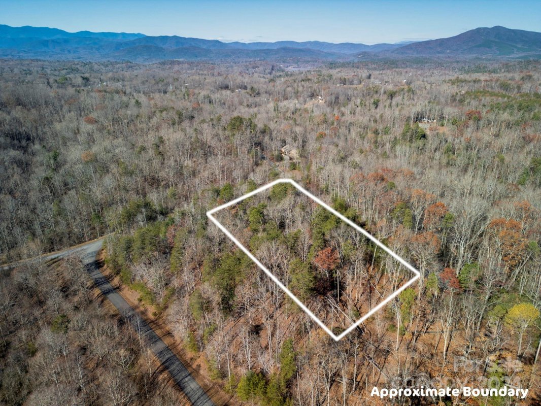 0 Forest Country Drive 60