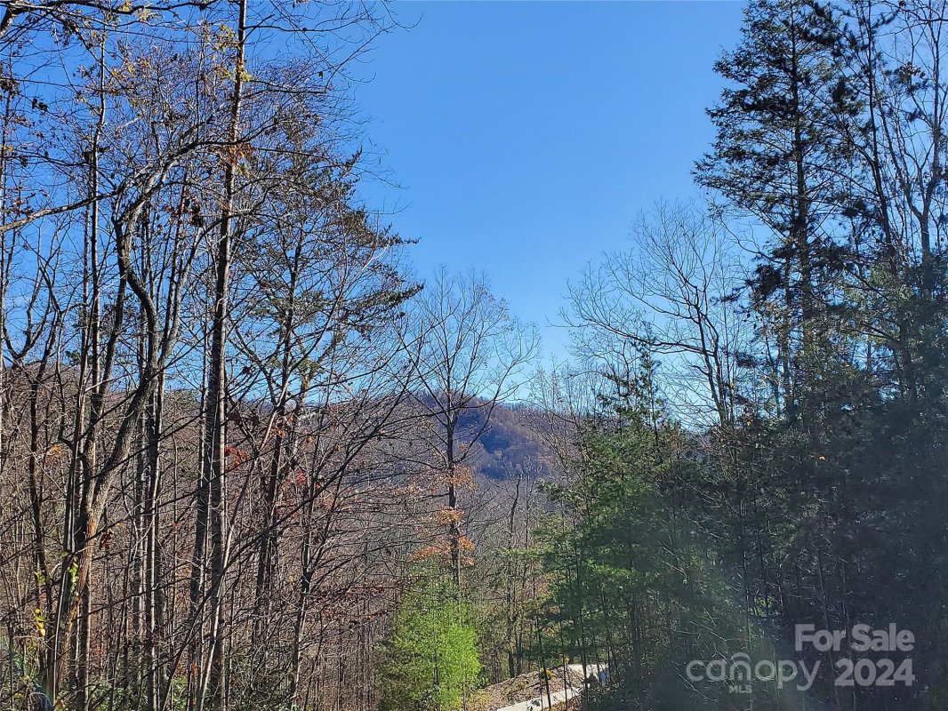 336 Falling Leaves Lane 41