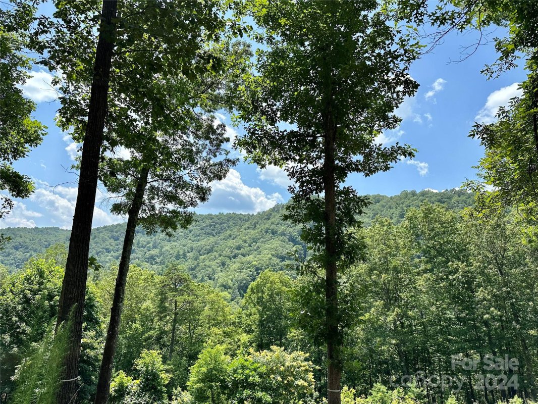 4110 French Broad Parkway 55
