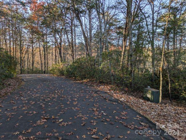 0 Willow Lane
