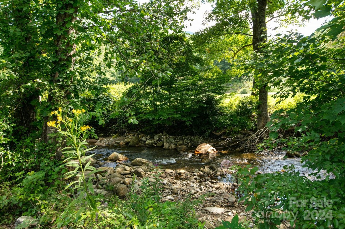 00000 Scout Trail 15