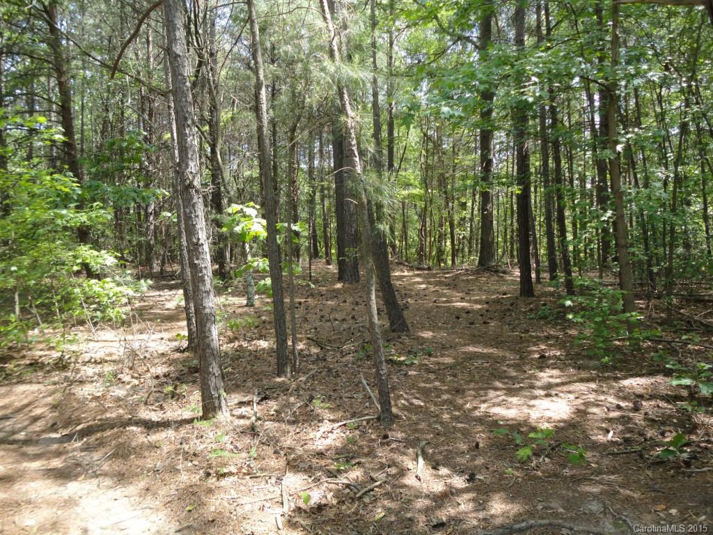 4856 Slanting Bridge Road 40