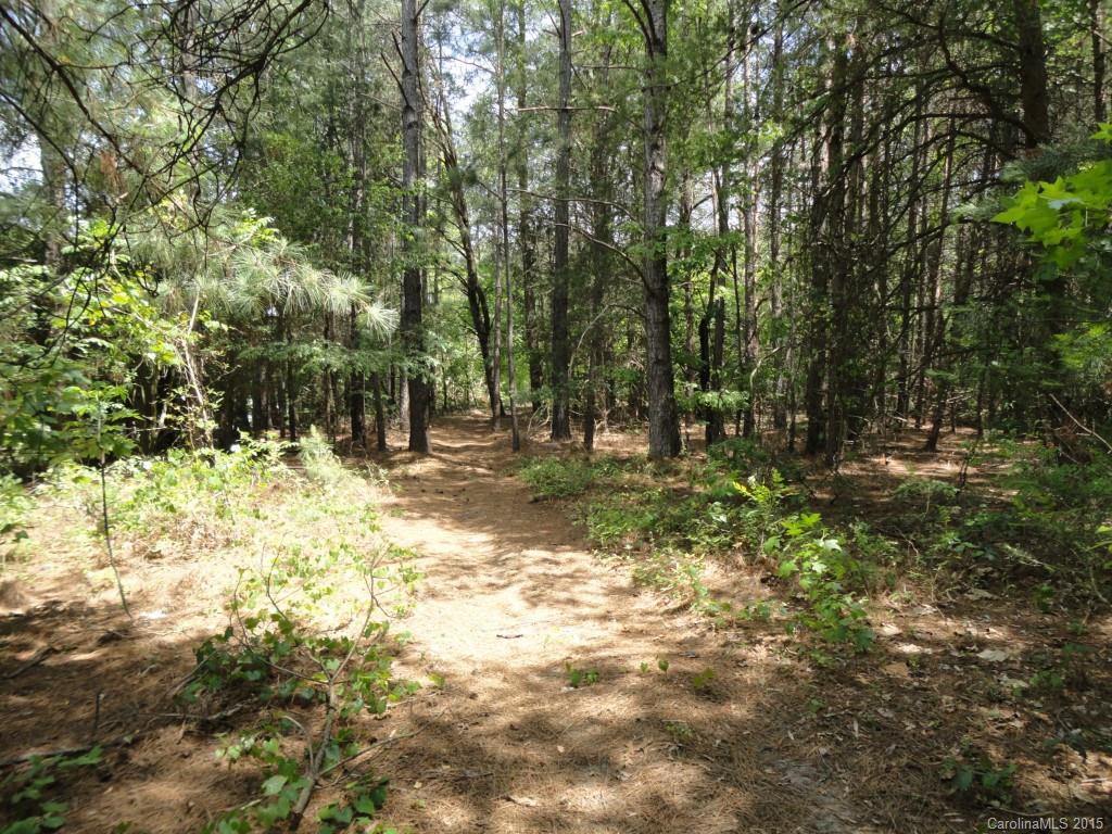 4888 Slanting Bridge Road 43