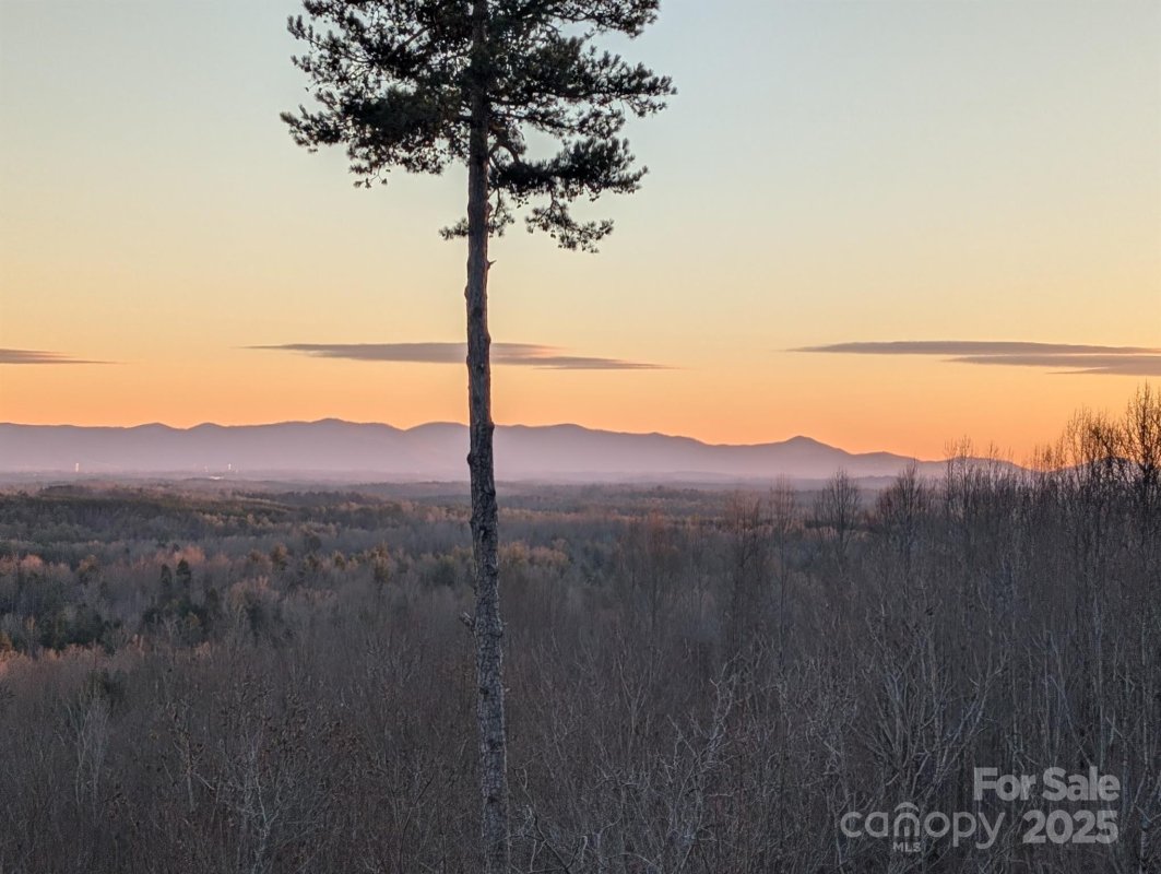 204De Johns Ridge Parkway 204DE