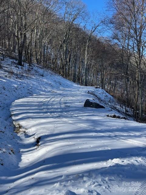 00 Wandering Trail 98