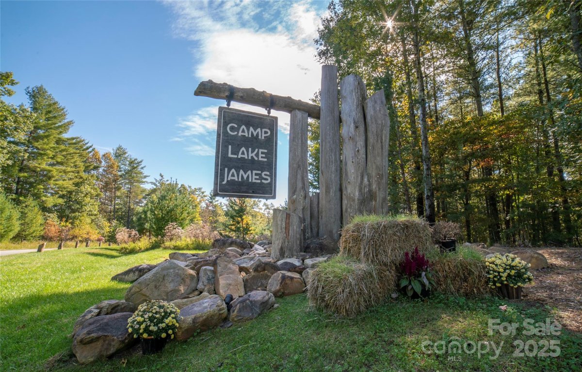 1156 Campbells Trace 64