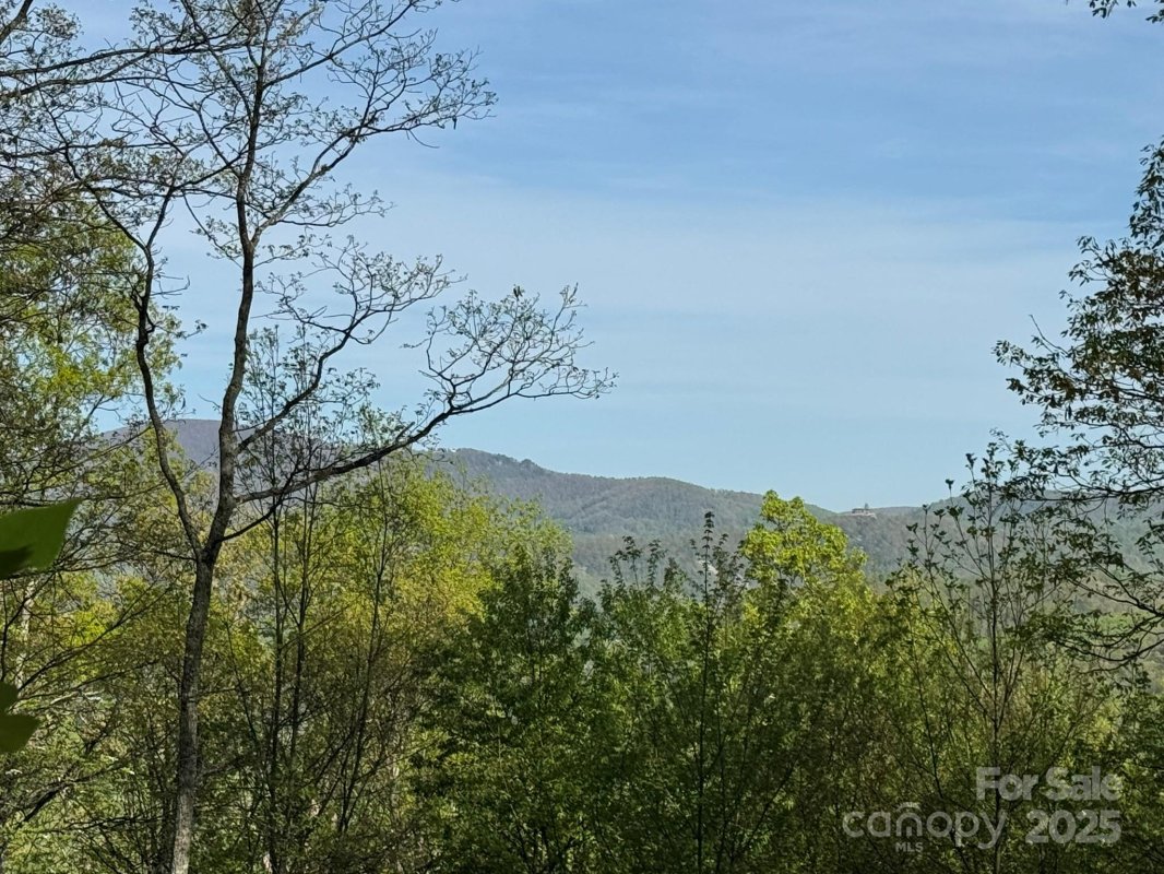 0000 Laurel Creek Drive