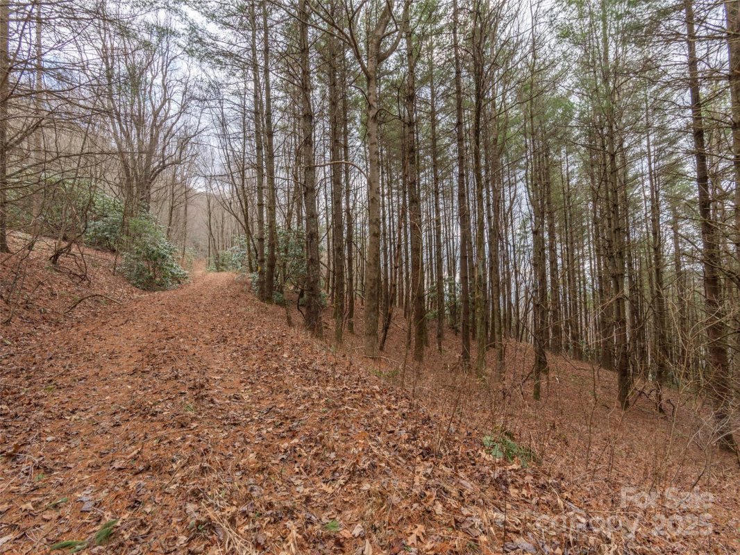00 Bald Creek Road