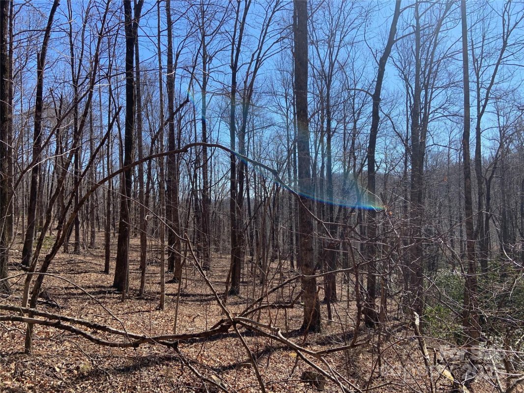 Tbd Glen Ridge Trail