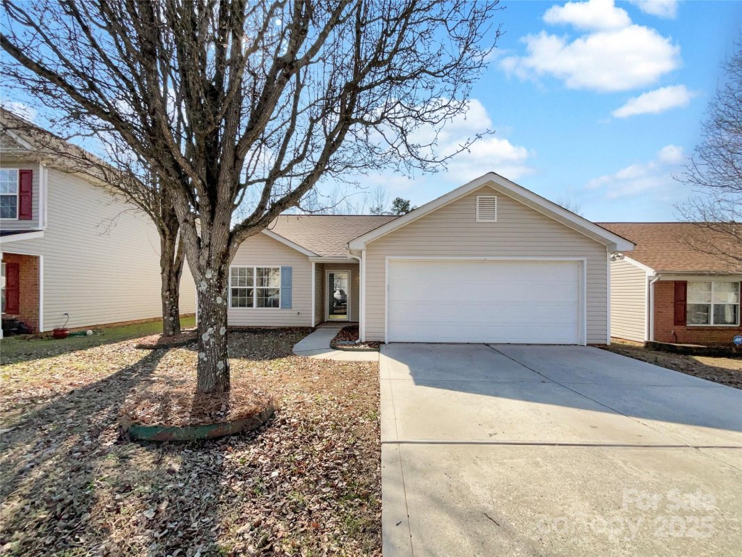 4427 Wills Way