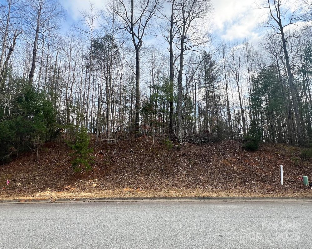 Lot 79 Huntington Woods Street
