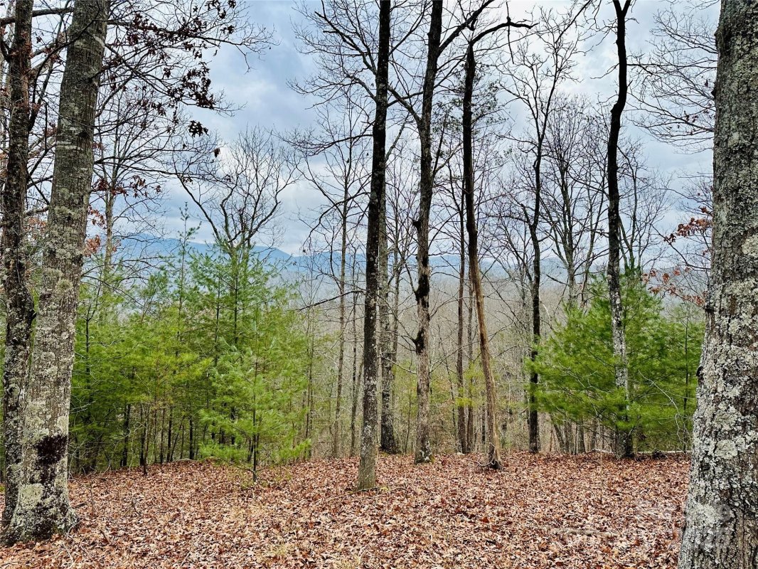 275 Raccoon Run 24