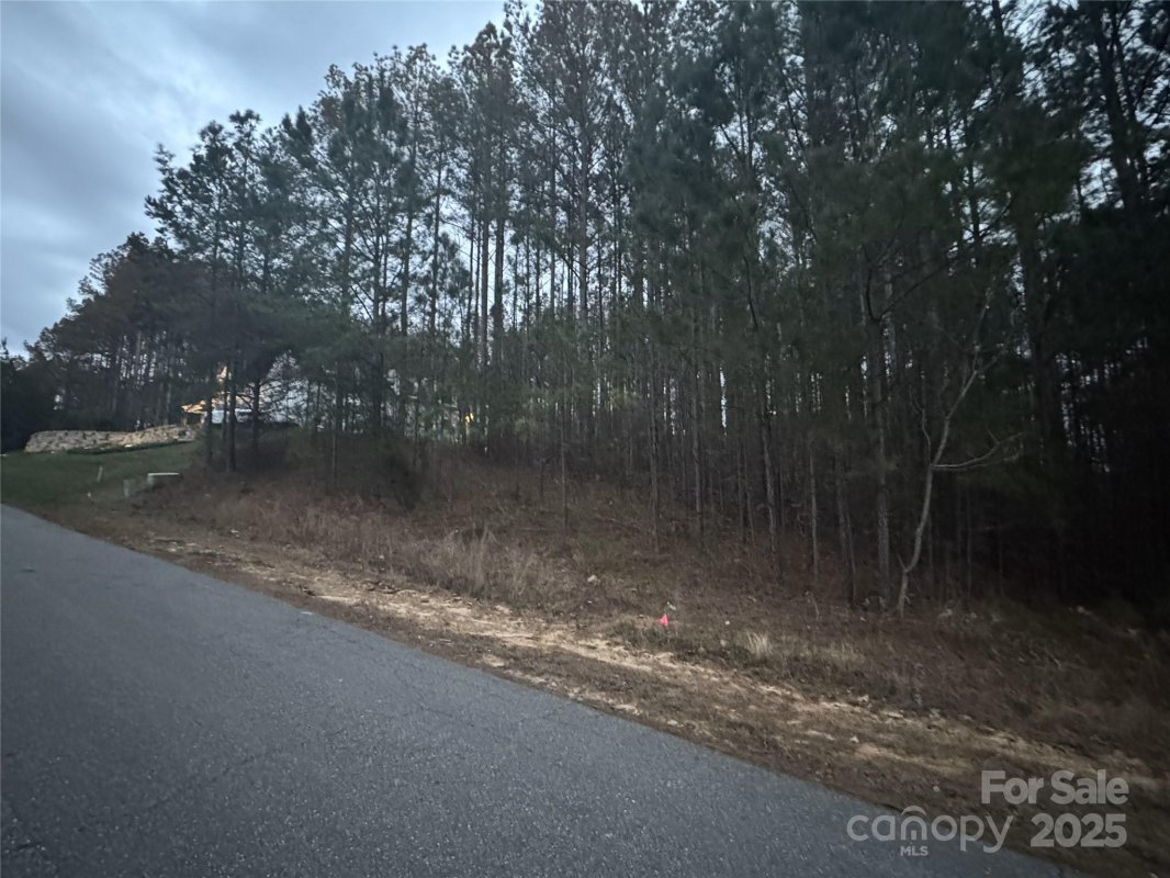 163 Winding Forest Drive