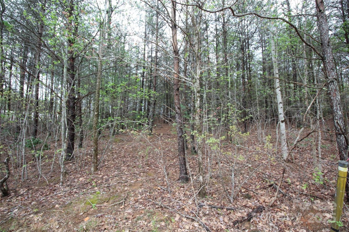 Lot 4 Ridge Way