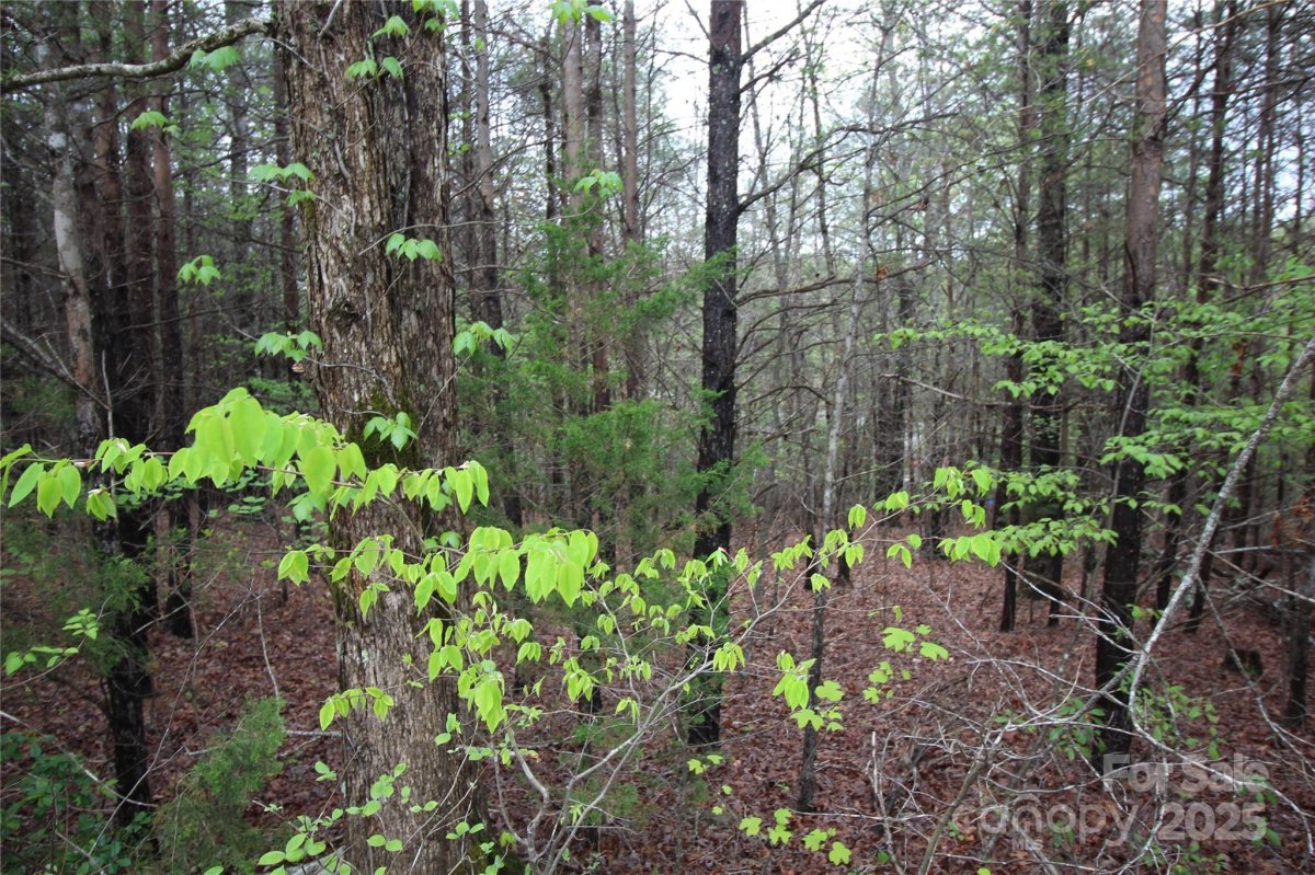 Lot 10 Ridge Way