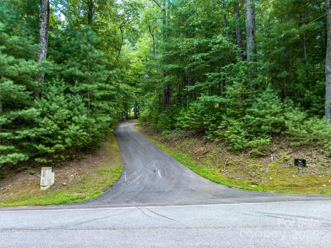 36 Dividing Ridge Trail