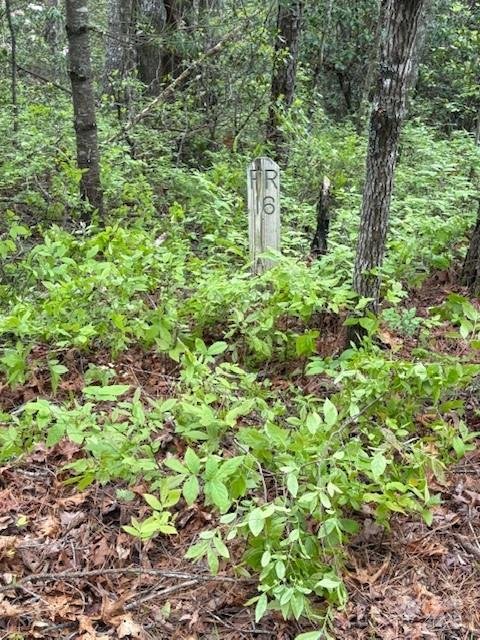 Fr 16 Opossum Path FR 16