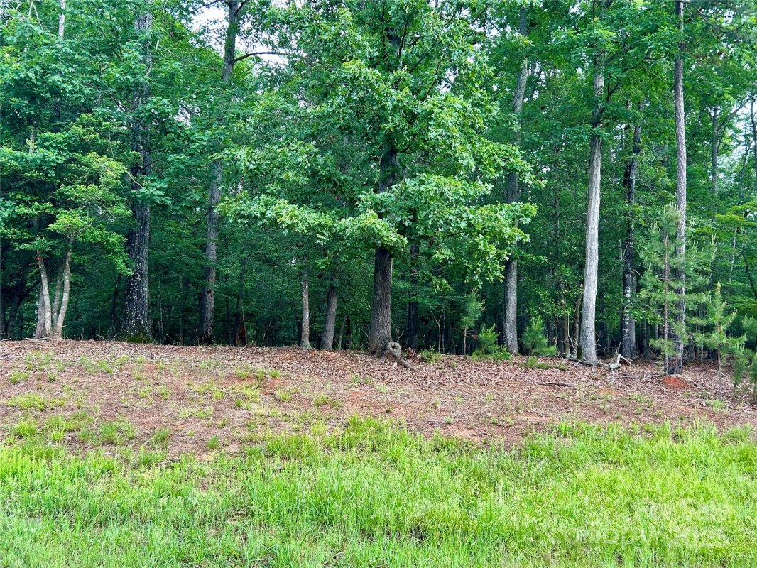 170 Water Oak Way