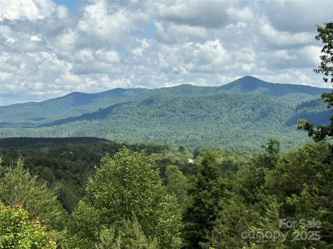 113 Valley View Trail 323