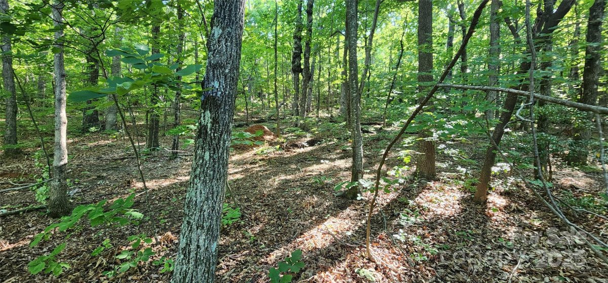 Lot 71 Serpentine Drive