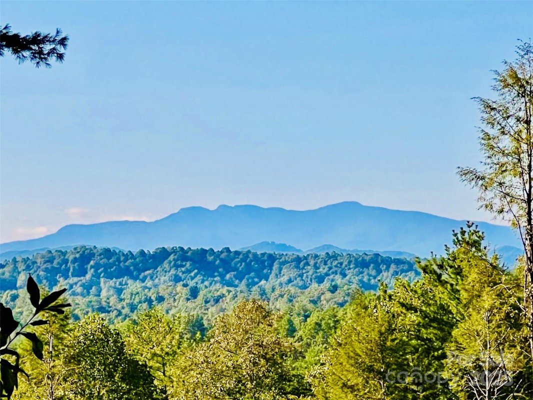 2 07 Acres 2058 Thoroughbred Way
