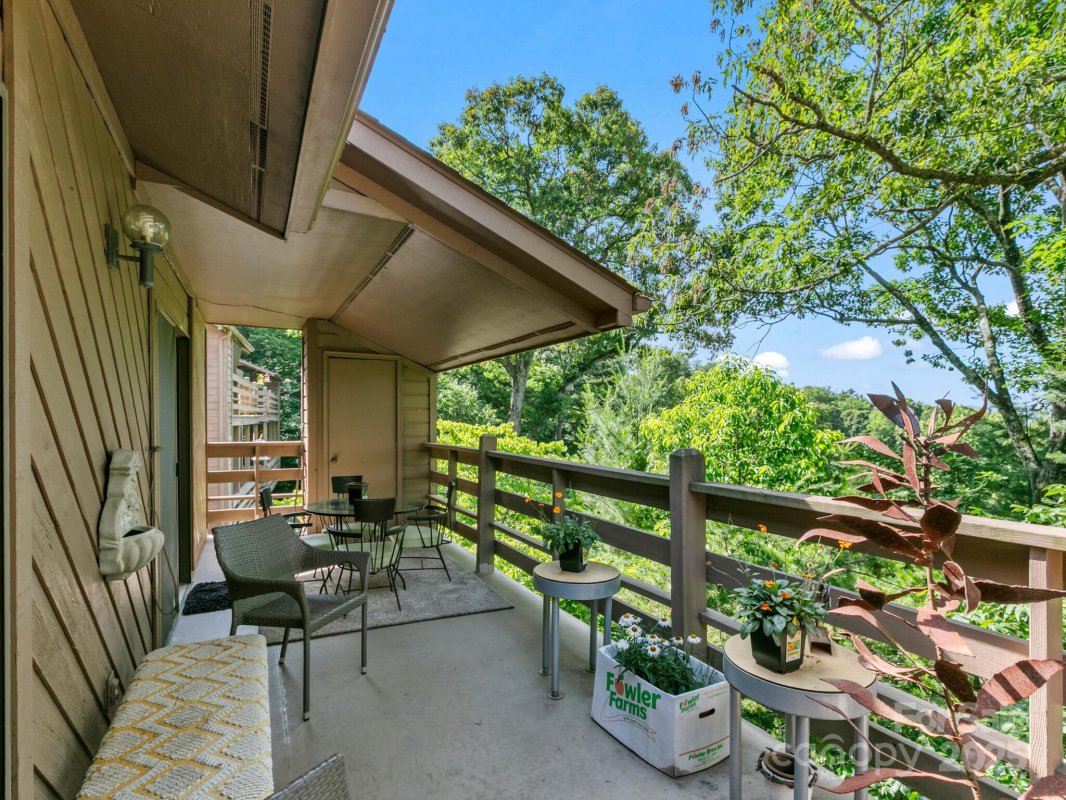 305 Piney Mountain Drive B3