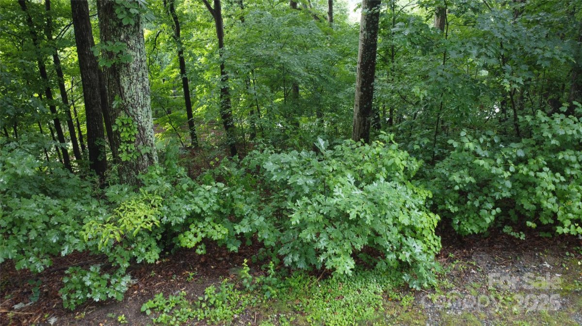 46 Hemlock Trail