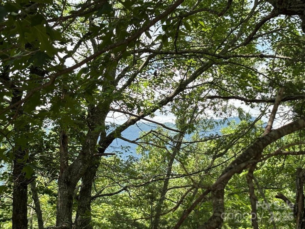 Lot 34 N Oakwood Drive
