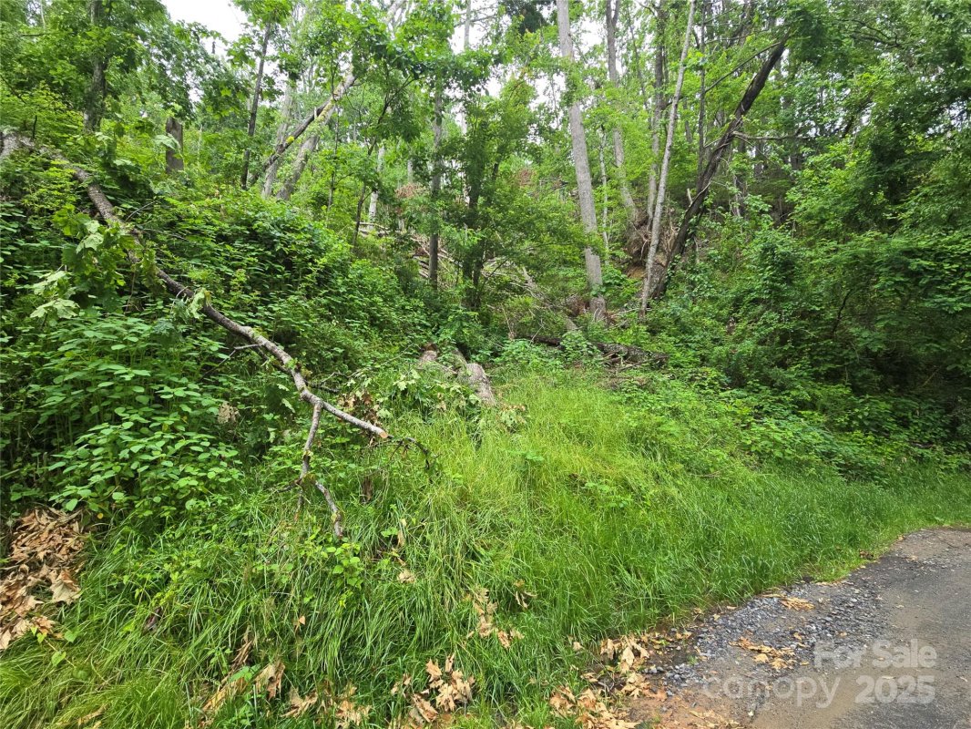 89 Weeping Cherry Forest Road