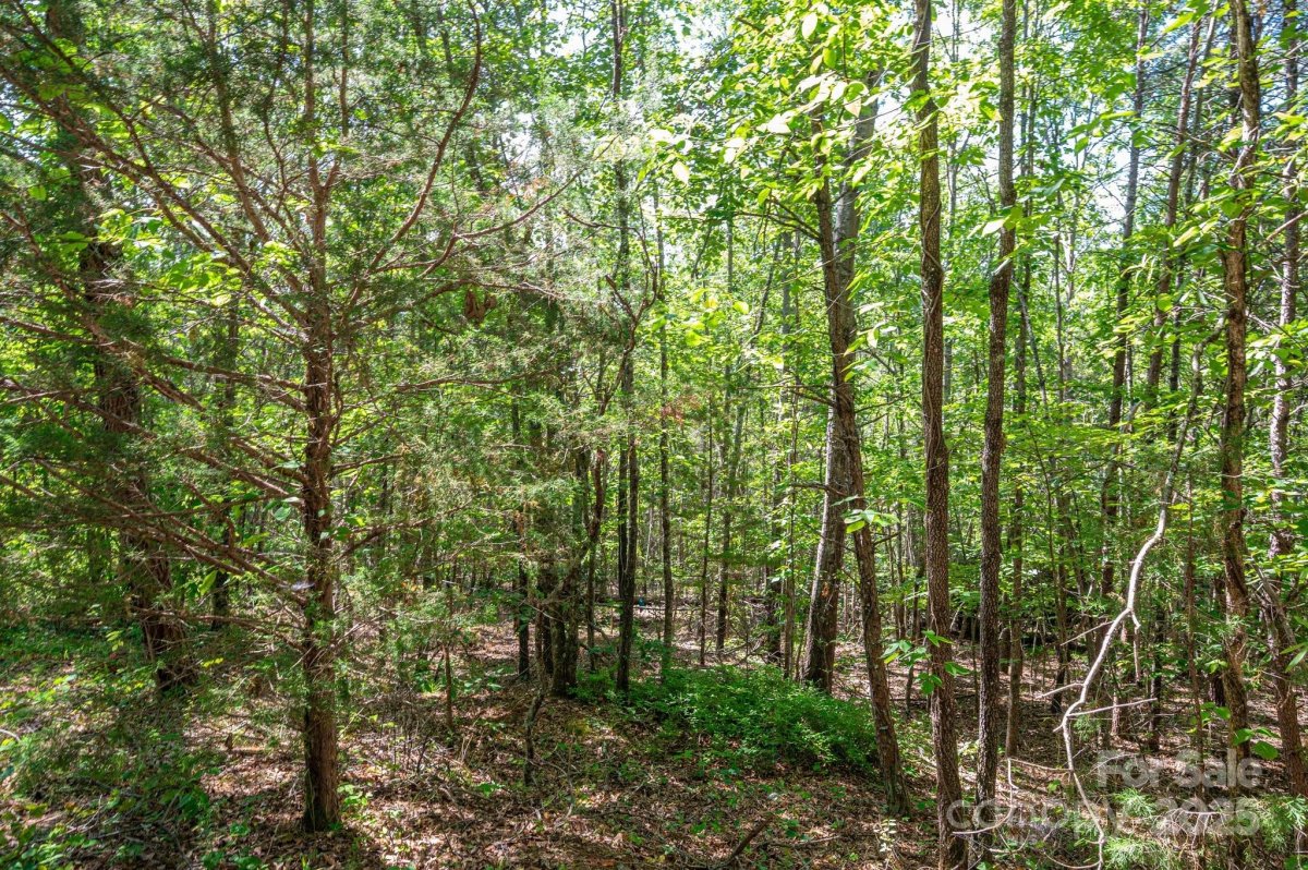 Lot 14 Meadow Crossing Drive