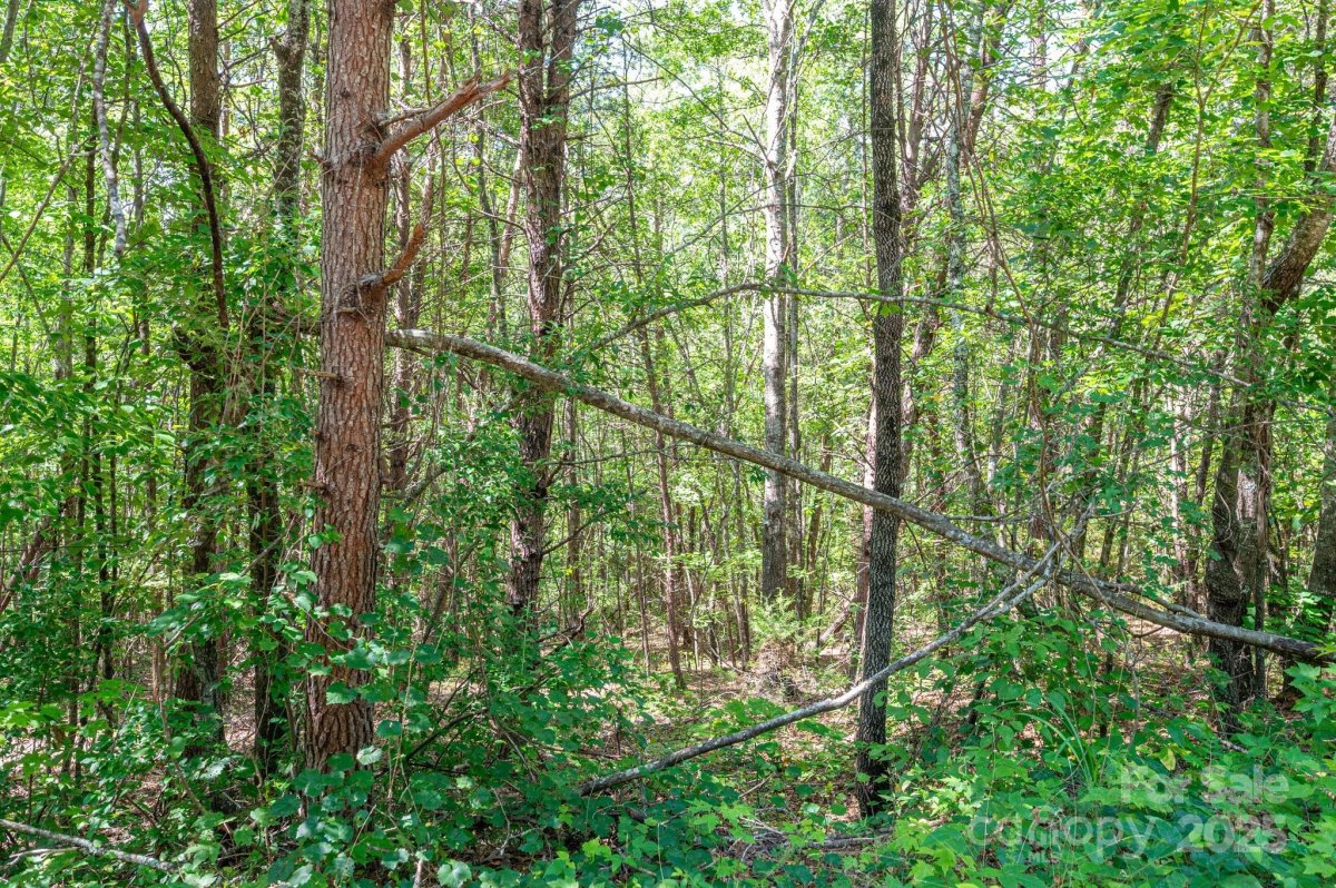 Lot 13 Meadow Crossing Drive