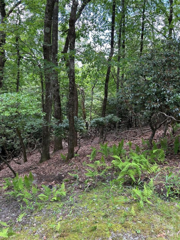 Tbd Connestee Trail UO2/L406