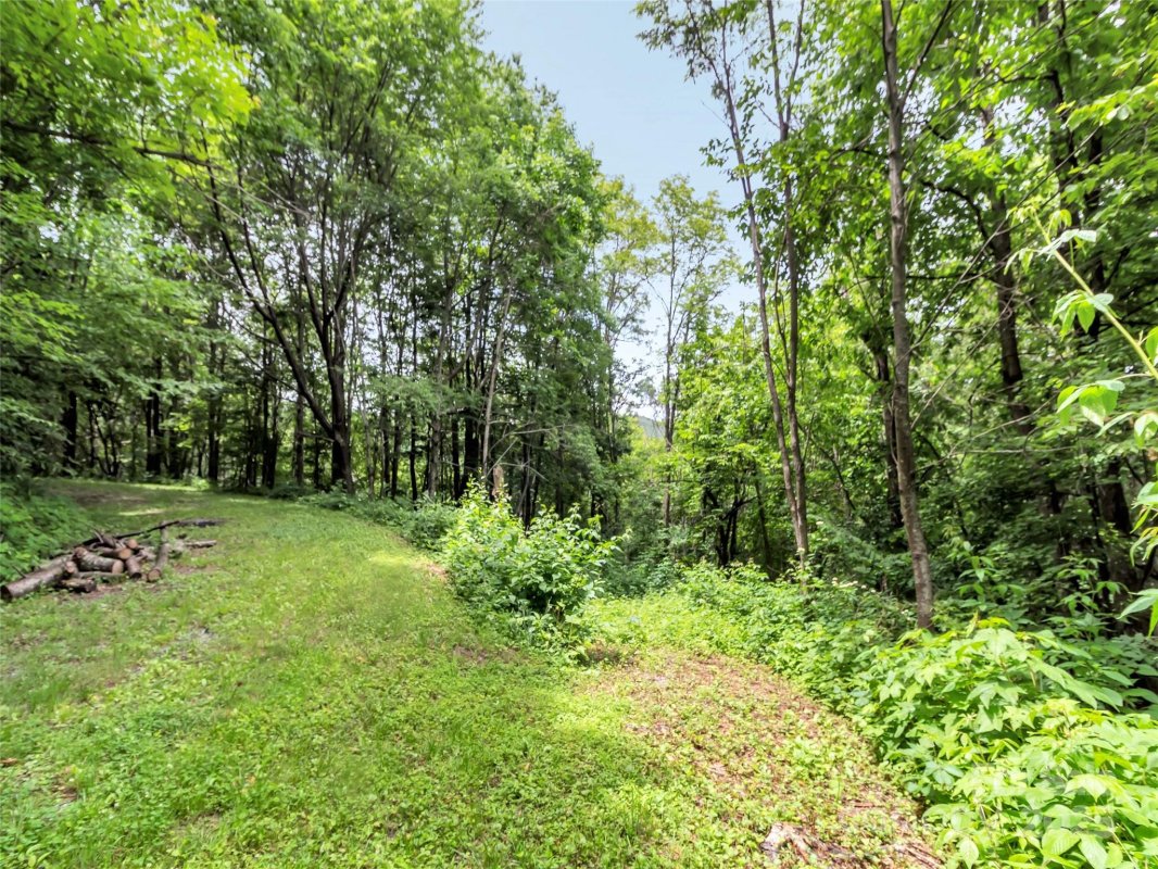 32 Sallywood Trail