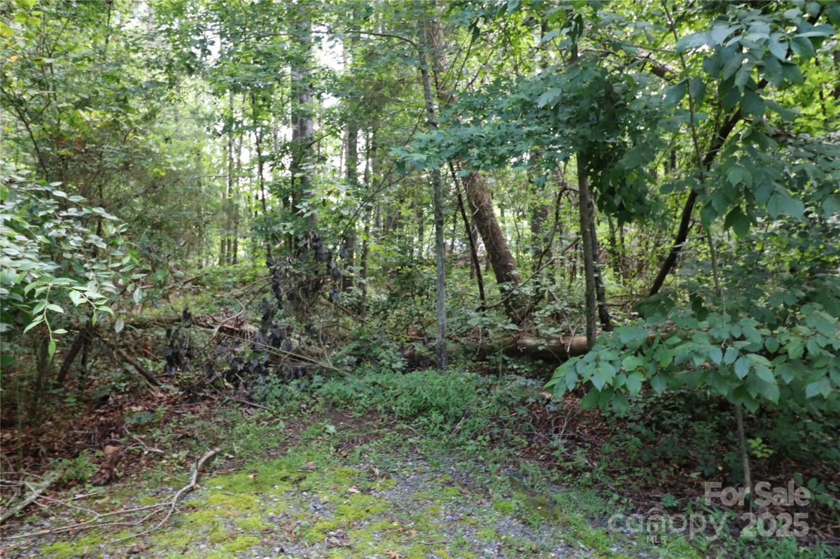 0 Shady Nook Circle