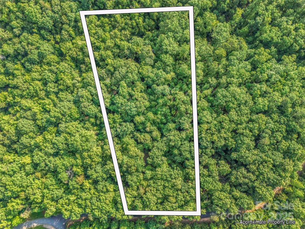 0 Forest Country Drive Lot 49