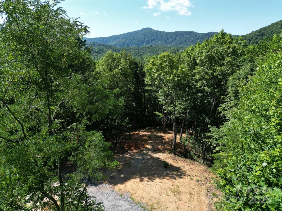 1915 Catawba Falls Parkway 232