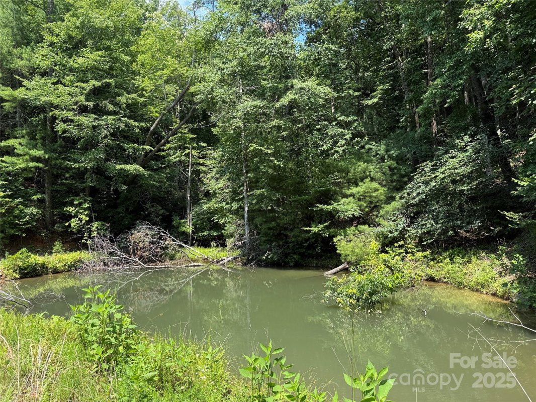 Tbd Staghorn Road